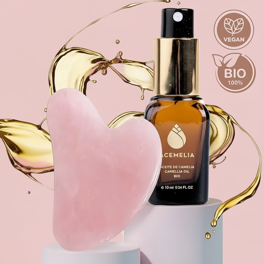 Camellia Oil Rosa Bakgrund